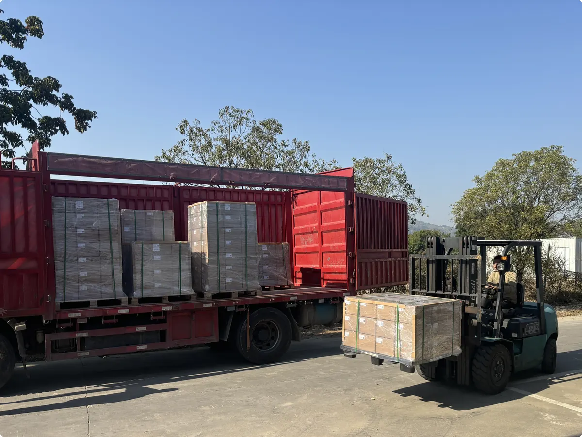 DSS Pack loading goods for worldwide shipping